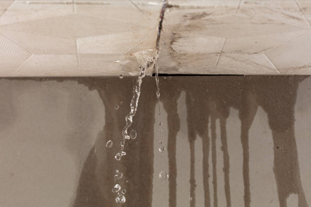 Professional Burst Pipe Cleanup technician working in Audubon, MN